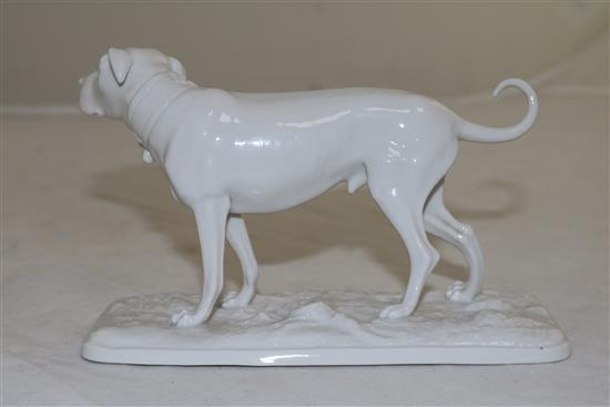 A Nymphenburg white glazed porcelain model of a standing hound, length 15.3cm (6in.)